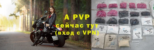 Альфа ПВП Бугульма
