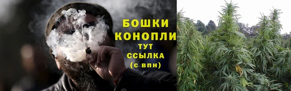 прущий лед Бородино