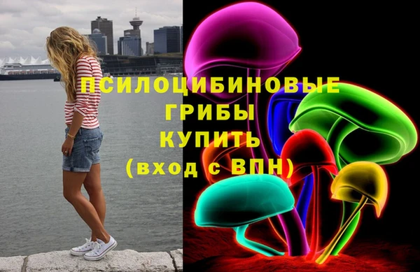 прущий лед Бородино