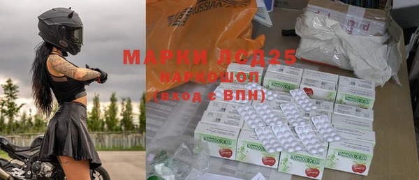 прущий лед Бородино